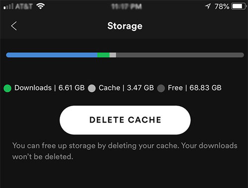 clear spotify cache