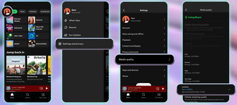 enable spotify lossles audio