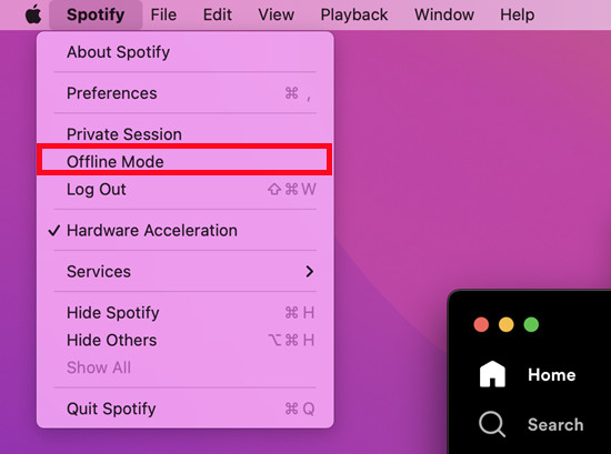 enable spotify offline mode on mac