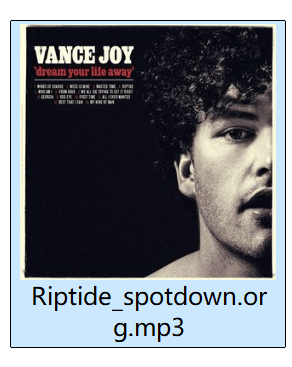 spotdown downloaded file riptide