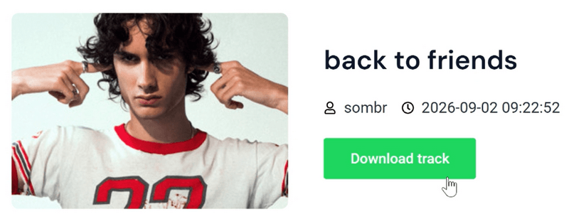 spotidownload how to use