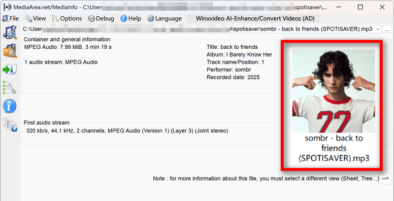 downloaded MP3 audio from spotify