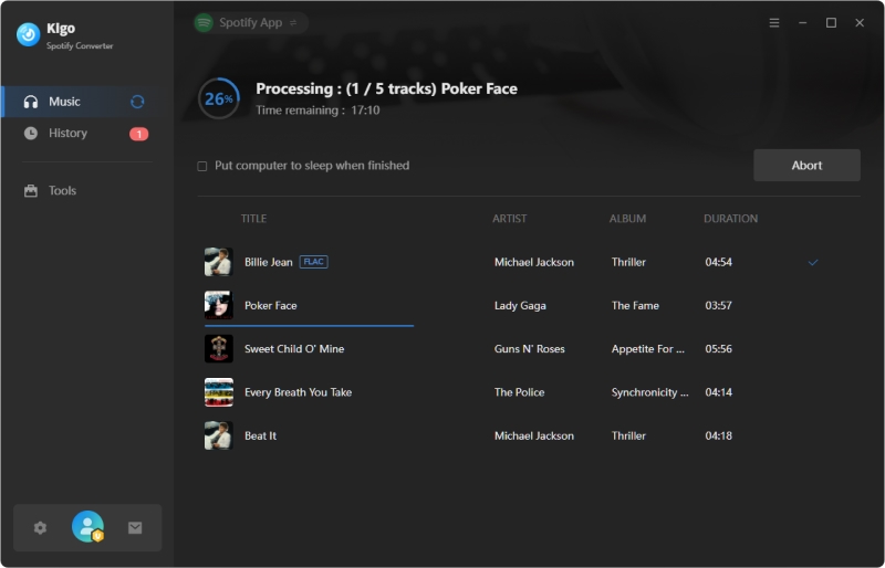 downloading spotify lossless music