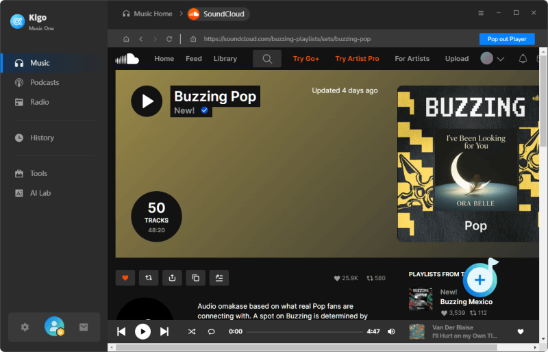 choose soundcloud playlist to download