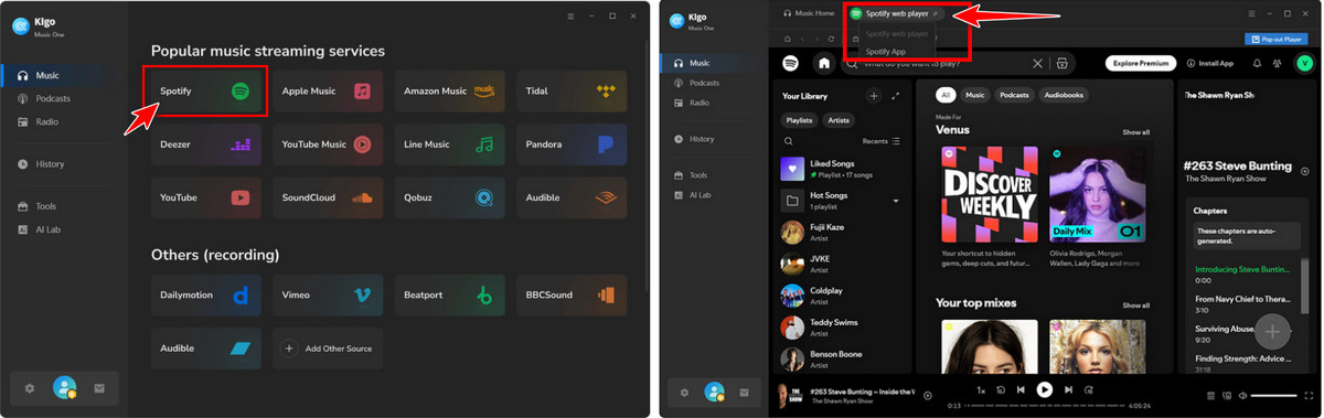 choose spotify download source